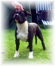 Coco pablo de l'eternelle passion